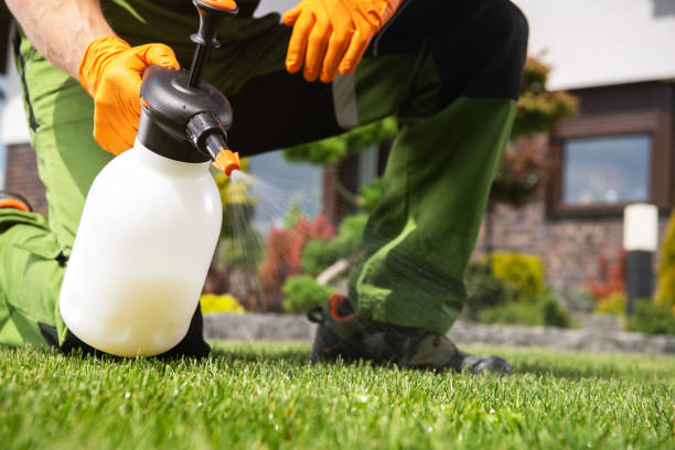 Best Bird Control  in Jackson, TN