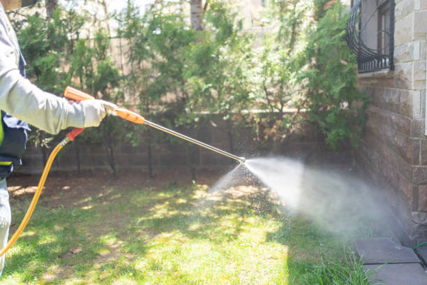 Best Wildlife Control Services  in Jackson, TN